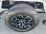2025 Ford F-150 SuperCrew Cab 4x2 Pickup for sale #10F9951 - photo 10
