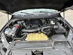 2020 Ford F-150 SuperCrew Cab 4x4 Pickup for sale #DT10F5394A - photo 11