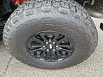 2025 Ford F-150 SuperCrew Cab 4WD Pickup for sale #DT10F2114A - photo 13