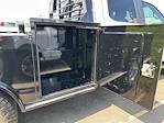 2023 Ford F-350 Crew Cab DRW 4x4 Hauler Body for sale #DT10F3784A - photo 20