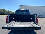 2024 Ford F-150 SuperCrew Cab 4WD Pickup for sale #DT10F7342A - photo 16