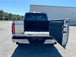 2024 Ford F-150 SuperCrew Cab 4WD Pickup for sale #DT10F7342A - photo 20