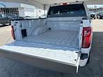 2025 Ford F-150 SuperCrew Cab 4x4 Pickup for sale #DT10F7679 - photo 18