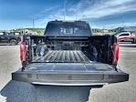 2025 Ford F-150 SuperCrew Cab 4x4 Pickup for sale #DT10F8775 - photo 15