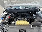 2020 Ford F-150 Regular Cab 4x2 Pickup for sale #RAD11034 - photo 10
