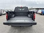 2024 Ford F-150 SuperCrew Cab 4x4 Pickup for sale #RAT10935 - photo 15
