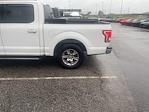 2015 Ford F-150 SuperCrew Cab 4x2 Pickup for sale #RAT11032A - photo 8
