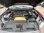 2019 Ford F-150 SuperCrew Cab 4x4 Pickup for sale #RAT11044A - photo 10