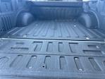 2023 Ford F-150 SuperCrew Cab 4WD Pickup for sale #DT25T1750A - photo 25