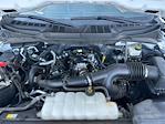 2023 Ford F-150 SuperCrew Cab 4WD Pickup for sale #DT25T1750A - photo 27