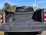 2023 Ford F-150 SuperCrew Cab 4WD Pickup for sale #DTH7222A - photo 32