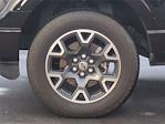Used 2024 Ford F-150 STX SuperCrew Cab for sale #DTH7343A - photo 8