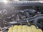 2020 Ford F-150 SuperCrew Cab 4x2 Pickup for sale #HPJ9993A - photo 34