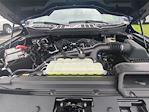 2025 Ford F-150 Super Cab 4x4 Pickup for sale #HPU10079 - photo 35