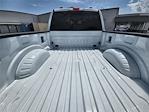 2025 Ford F-250 Crew Cab 4x4 Pickup for sale #20F38509 - photo 14