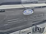 2025 Ford F-150 SuperCrew Cab 4x4 Pickup for sale #20F64263 - photo 11