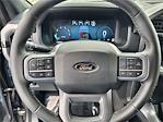 2025 Ford F-150 SuperCrew Cab 4x4 Pickup for sale #20F75484 - photo 21