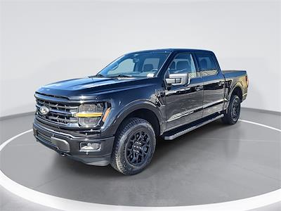 2025 Ford F-150 SuperCrew Cab 4x4 Pickup for sale #20F81351 - photo 1