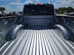 2025 Ford F-150 SuperCrew Cab 4x4 Pickup for sale #20F88311 - photo 15