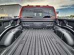 2025 Ford F-150 SuperCrew Cab 4x4 Pickup for sale #20F90119 - photo 15