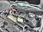 2024 Ford F-150 SuperCrew Cab 4WD Pickup for sale #20PG1932 - photo 17