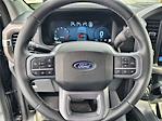 2025 Ford F-150 SuperCrew Cab 4WD Pickup for sale #DT20F04545 - photo 20
