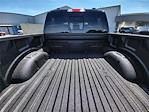 2025 Ford F-150 SuperCrew Cab 4x4 Pickup for sale #DT20F07733 - photo 15