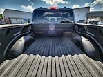 2025 Ford F-150 SuperCrew Cab 4x4 Pickup for sale #DT20F09097 - photo 15