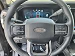2025 Ford F-350 Crew Cab SRW 4x4 Pickup for sale #DT20F13448 - photo 21