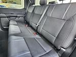 2026 Ford F-150 SuperCrew Cab 4WD Pickup for sale #DT20F33127 - photo 19