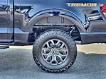 2025 Ford F-150 SuperCrew Cab 4x4 Pickup for sale #DT20F71109 - photo 12