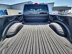 2025 Ford F-250 Crew Cab 4x4 Pickup for sale #DT20F96731 - photo 15