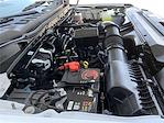 Used 2024 Ford F-250 Crew Cab for sale #51795 - photo 14