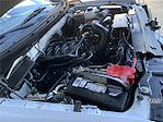 Used 2011 Ford F-150 Regular Cab for sale #51957 - photo 14