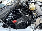 Used 2024 Ford F-150 XLT SuperCrew Cab for sale #51972 - photo 14
