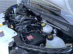 Used 2023 Ford Transit 250 Low Roof Empty Cargo Van for sale #52037 - photo 15