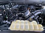 Used 2021 Ford F-150 Super Cab for sale #52092 - photo 12