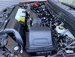 Used 2024 Ford F-150 King Ranch SuperCrew Cab for sale #52165 - photo 15