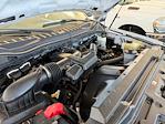 Used 2019 Ford F-250 Regular Cab Service Truck for sale #11931 - photo 25