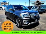 2021 Ford Expedition 4x4 SUV for sale #47063 - photo 1