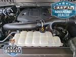 2023 Ford F-150 SuperCrew Cab 4WD Pickup for sale #PFD12253 - photo 30