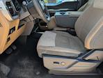 2023 Ford F-150 SuperCrew Cab 4x2 Pickup for sale #PKD44346 - photo 17