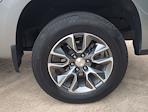 2024 Chevrolet Silverado 1500 Crew Cab 4x2 Pickup for sale #R1147141 - photo 3