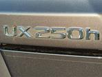 2024 Lexus UX 250h 4x2 SUV for sale #R2193357 - photo 30
