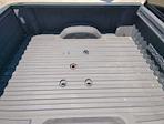 2024 Chevrolet Silverado 3500 Crew Cab 4x4 Pickup for sale #RF163719 - photo 22