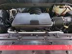 2024 Chevrolet Silverado 1500 Crew Cab 4x2 Pickup for sale #RG190824 - photo 25