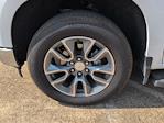 2025 Chevrolet Silverado 1500 Crew Cab RWD Pickup for sale #S1137316 - photo 9