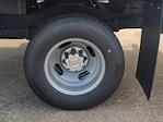 New 2025 Chevrolet Express 3500 Regular Cab Box Truck for sale #FFSN007212 - photo 6