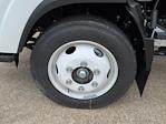 New 2025 Chevrolet LCF 4500HG Regular Cab Box Truck for sale #FFSS207423 - photo 4