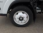 New 2025 Chevrolet LCF 4500HG Regular Cab Box Truck for sale #FFSS207911 - photo 4